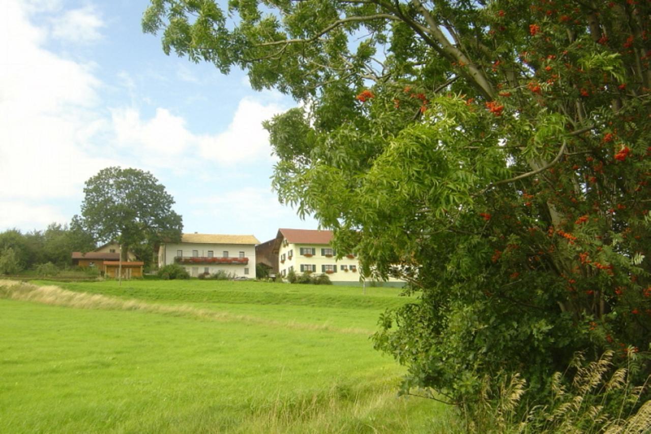 Birkenhof Apartment Neukirchen beim Heiligen Blut Ngoại thất bức ảnh